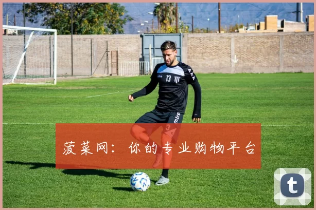 菠菜网：你的专业购物平台