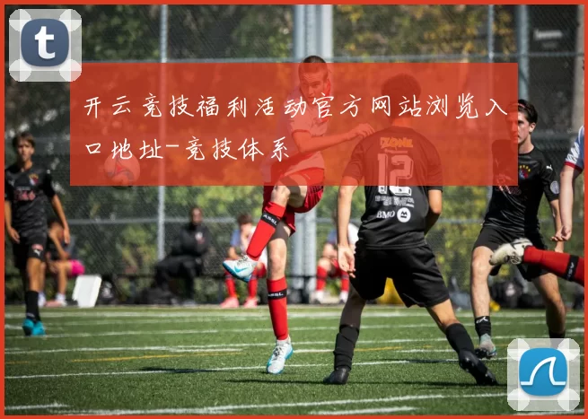 开云竞技福利活动官方网站浏览入口地址-竞技体系