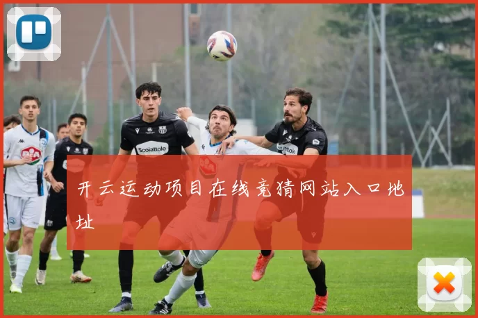 开云运动项目在线竞猜网站入口地址