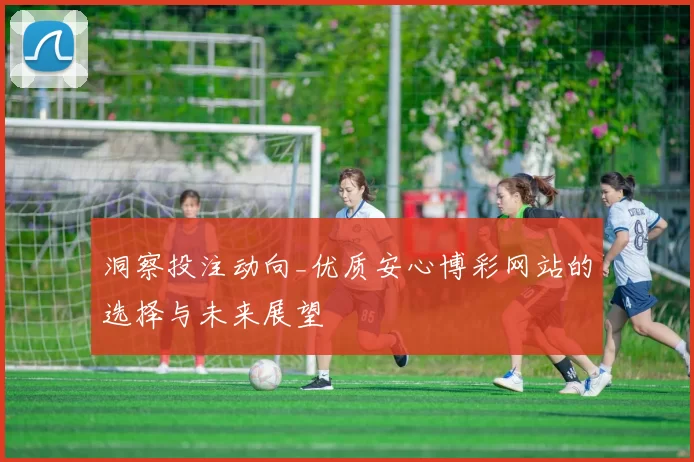 洞察投注动向_优质安心博彩网站的选择与未来展望
