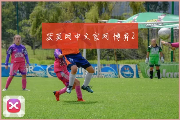 菠菜网中文官网 博弈2