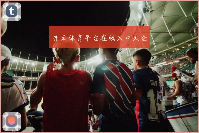 开云体育平台在线入口大全