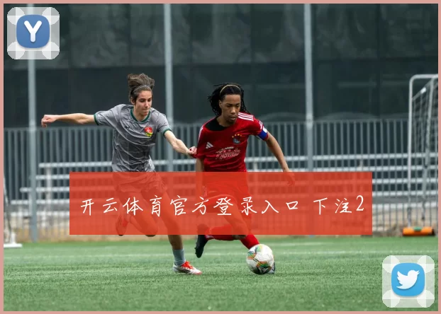 开云体育官方登录入口 下注2