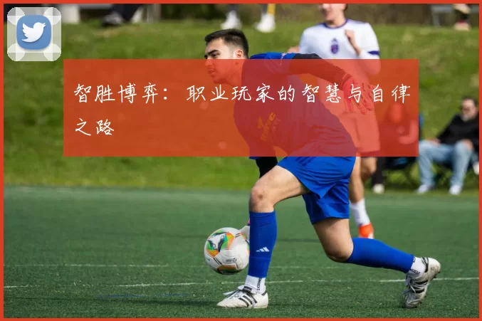 智胜博弈：职业玩家的智慧与自律之路