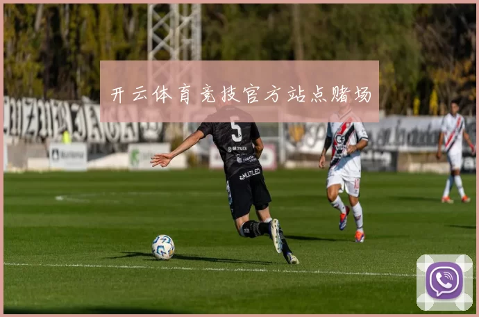 开云体育竞技官方站点赌场