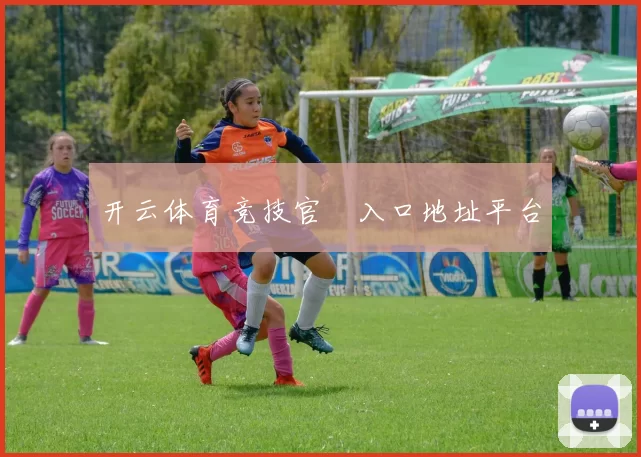 开云体育竞技官網入口地址平台