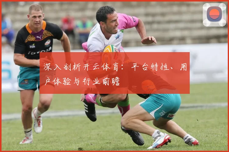深入剖析开云体育：平台特性、用户体验与行业前瞻