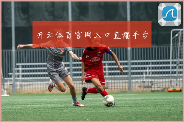 开云体育官网入口直播平台