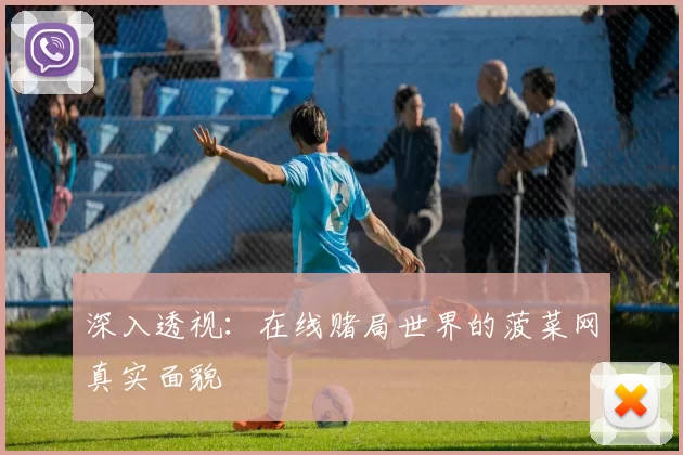 深入透视：在线赌局世界的菠菜网真实面貌