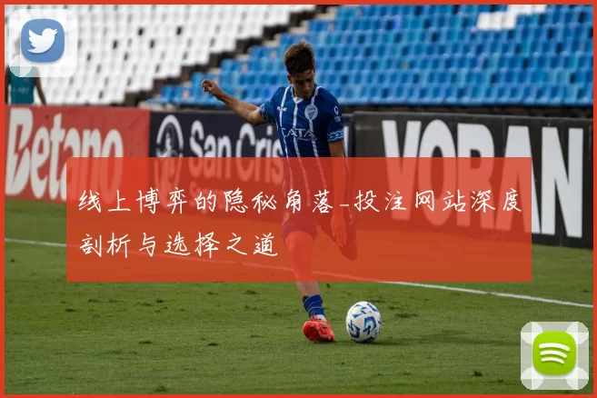线上博弈的隐秘角落_投注网站深度剖析与选择之道