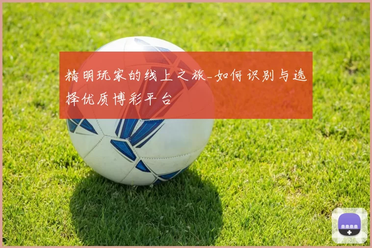 精明玩家的线上之旅_如何识别与选择优质博彩平台