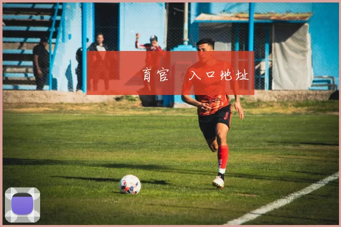 開雲體育官網入口地址