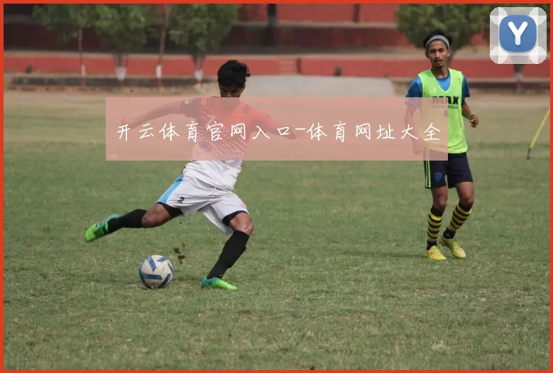 开云体育官网入口-体育网址大全
