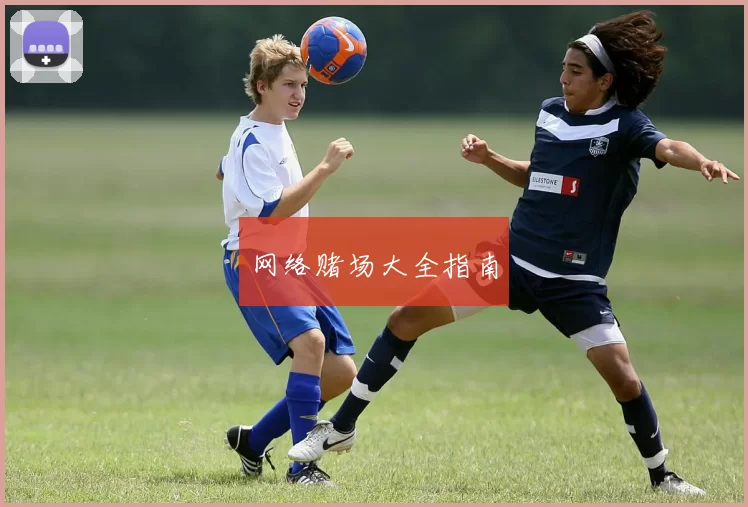网络赌场大全指南