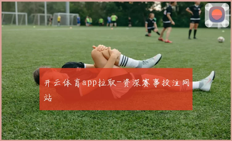 开云体育app拉取-资深赛事投注网站