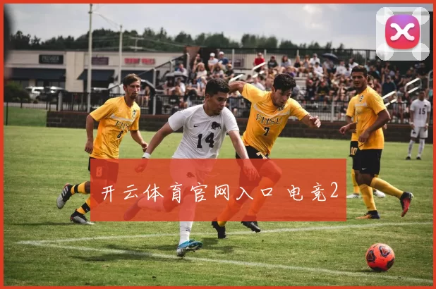 开云体育官网入口 电竞2