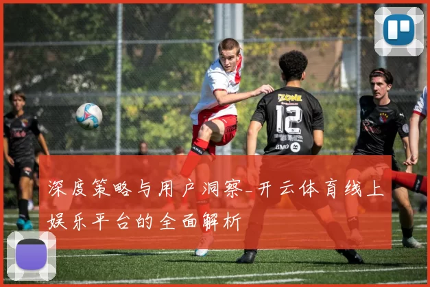 深度策略与用户洞察_开云体育线上娱乐平台的全面解析