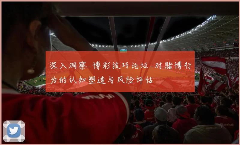 深入洞察_博彩技巧论坛_对赌博行为的认知塑造与风险评估