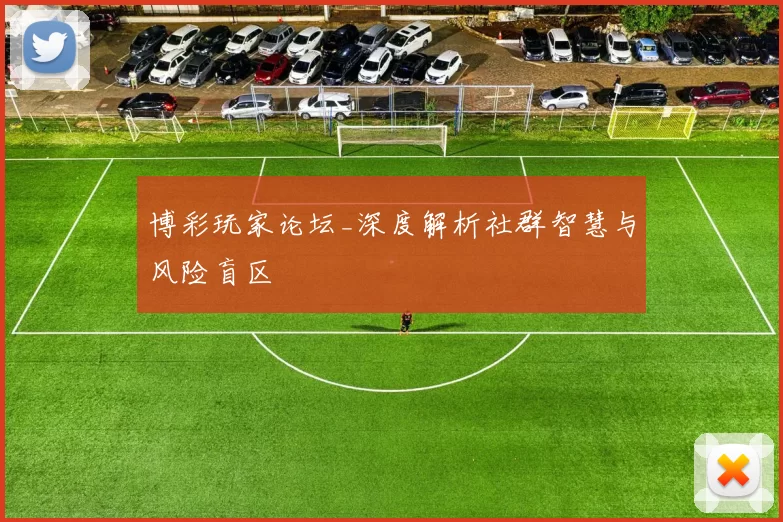 博彩玩家论坛_深度解析社群智慧与风险盲区