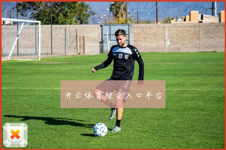 开云体育综合入口平台