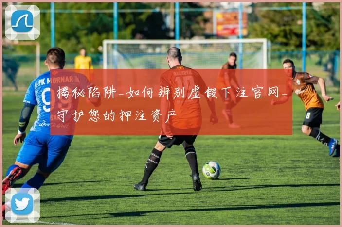 揭秘陷阱_如何辨别虚假下注官网_守护您的押注资产