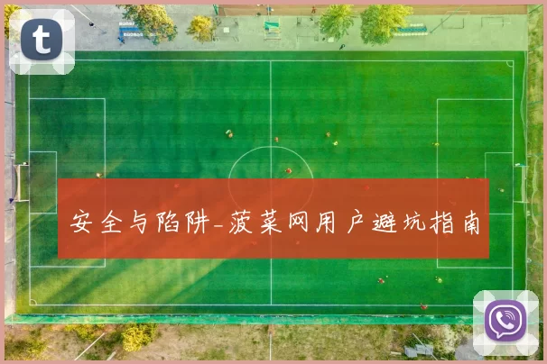 安全与陷阱_菠菜网用户避坑指南