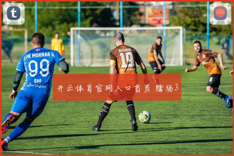 开云体育官网入口首页 赌场3