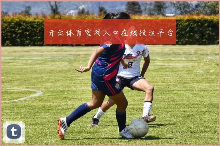 开云体育官网入口在线投注平台
