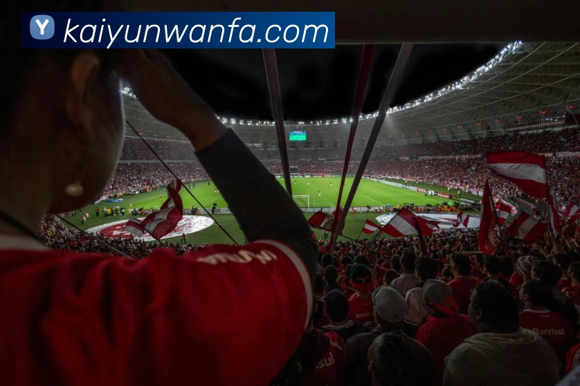 多媒体互动体验